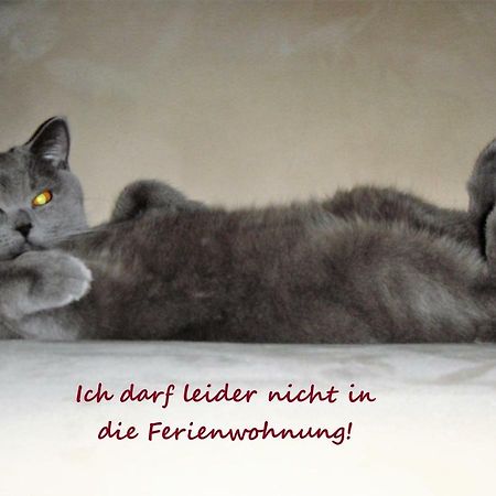 Apartment Zeitreise Quedlinburg Dış mekan fotoğraf
