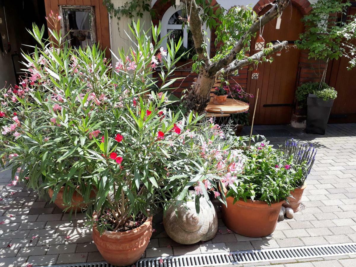 Apartment Zeitreise Quedlinburg Dış mekan fotoğraf