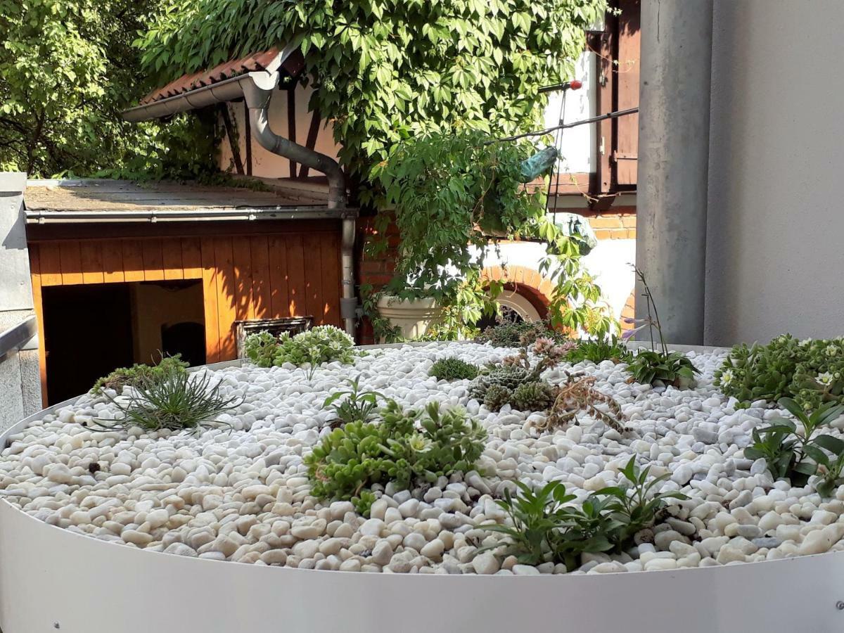 Apartment Zeitreise Quedlinburg Dış mekan fotoğraf